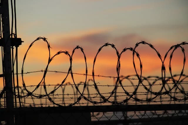 Pexels Esjaimes 10550216